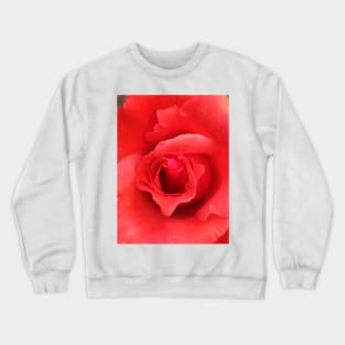 Red Rose Crewneck Sweatshirt